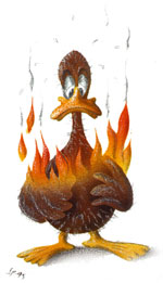 fire